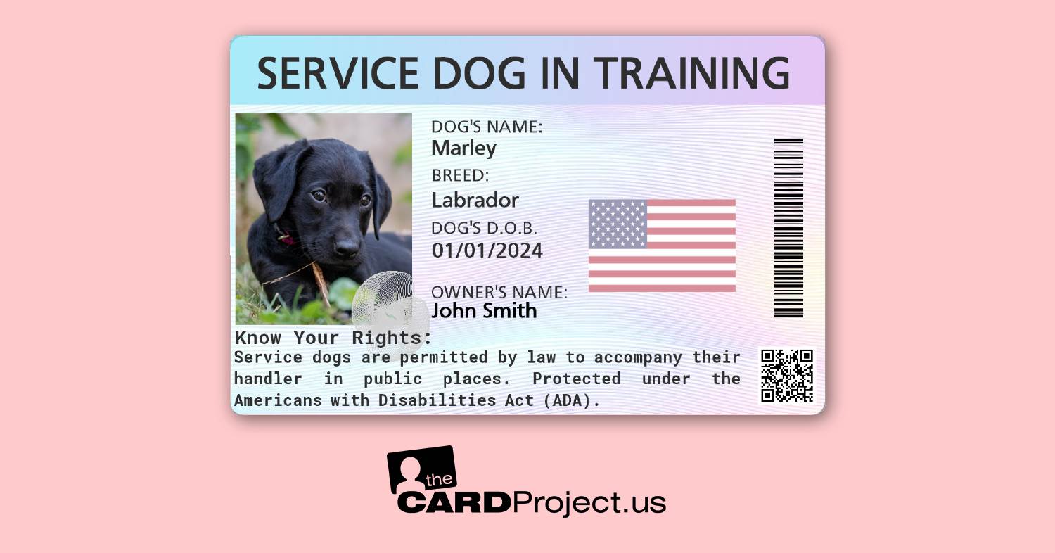 Service Dog In Training ID Card by The Card Project US