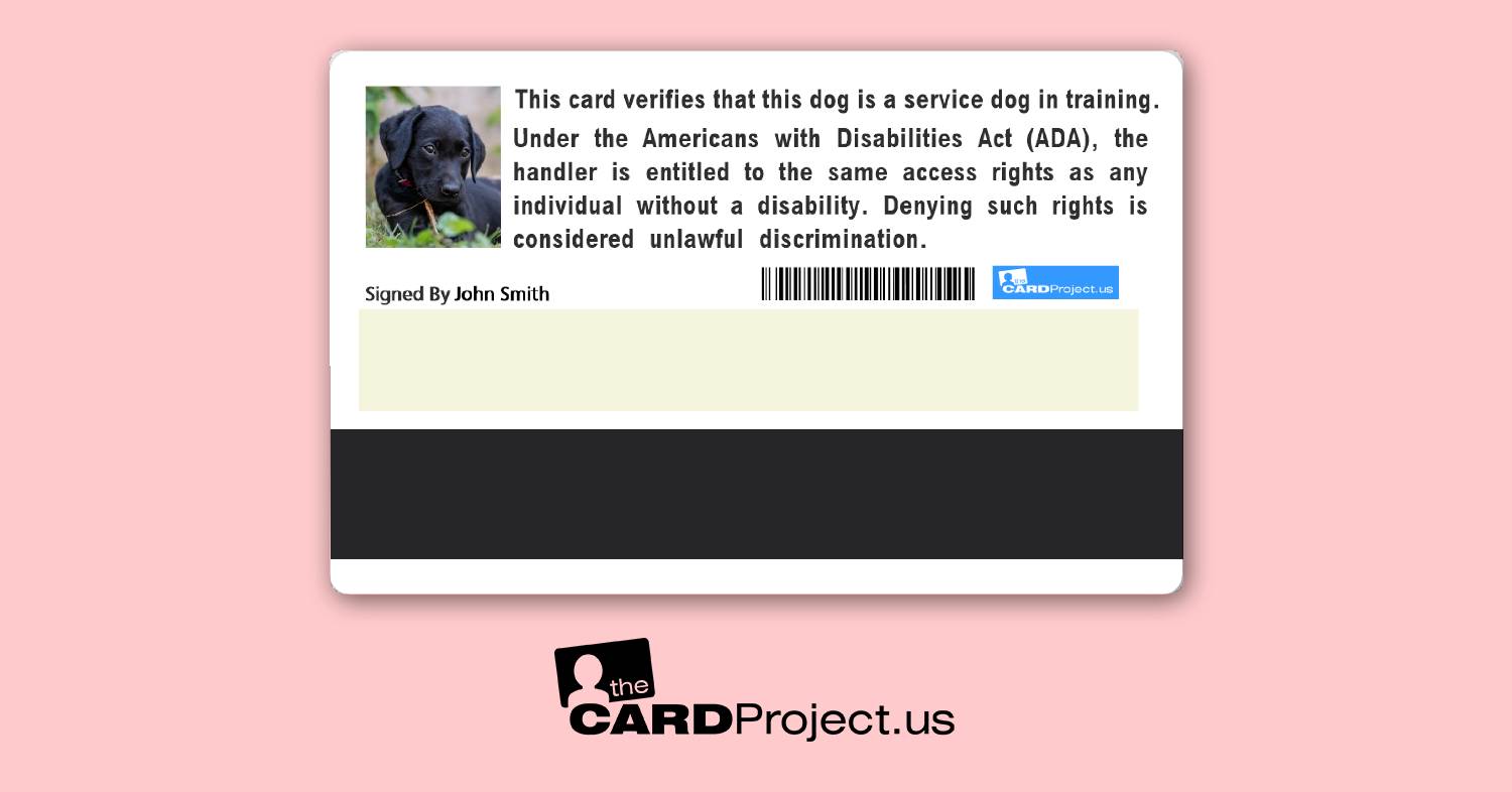 Service Dog In Training ID Card by The Card Project US