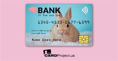 Bunny Toy Credit Card