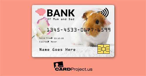 Guinea Pig Toy Credit Card