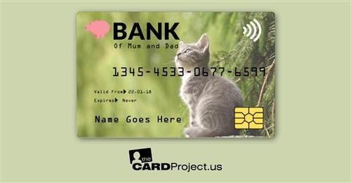 Kitten Toy Credit Card