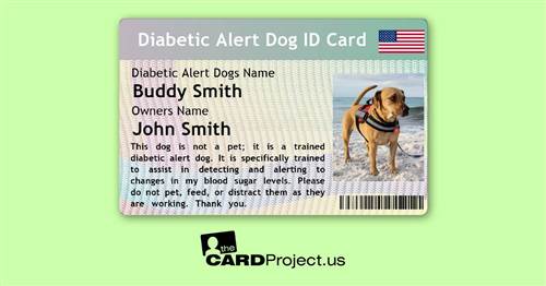 Diabetic Alert Service Dog (FRONT)